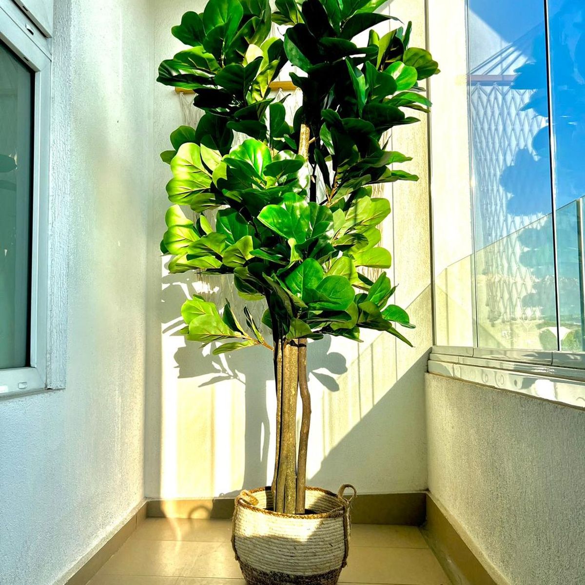 ARBUSTO REAL - Planta Artificial Ficus Lyrata 180 Cm. Premium 232 Hojas Verde