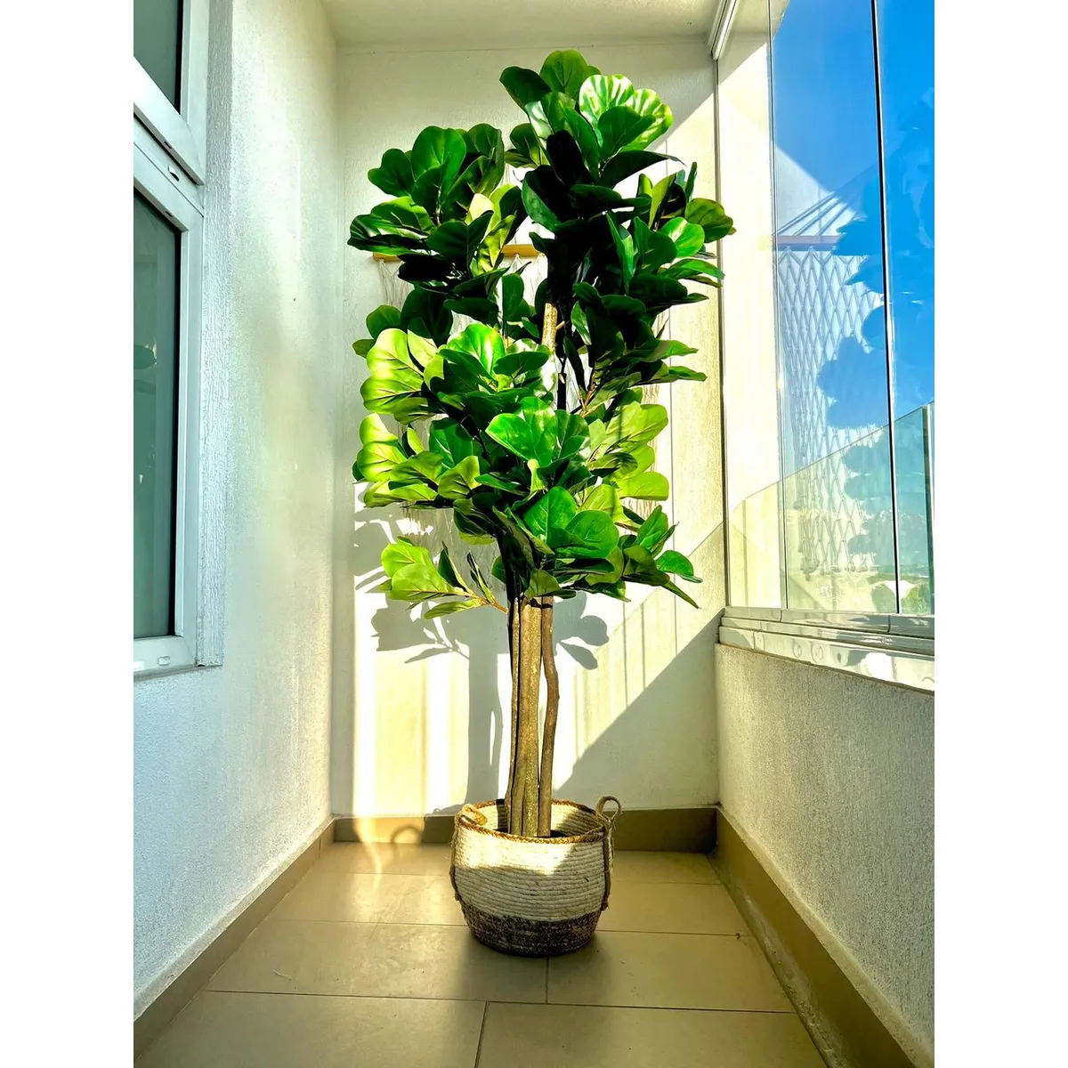ARBUSTO REAL - Planta Artificial Ficus Lyrata 180 Cm. Premium 232 Hojas Verde