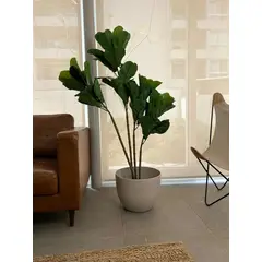 ARBUSTO REAL - Planta Artificial Ficus Lyrata 180 Cm. Premium 232 Hojas Verde