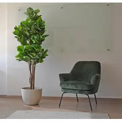 ARBUSTO REAL - Planta Artificial Ficus Lyrata 180 Cm 88 Hjs /