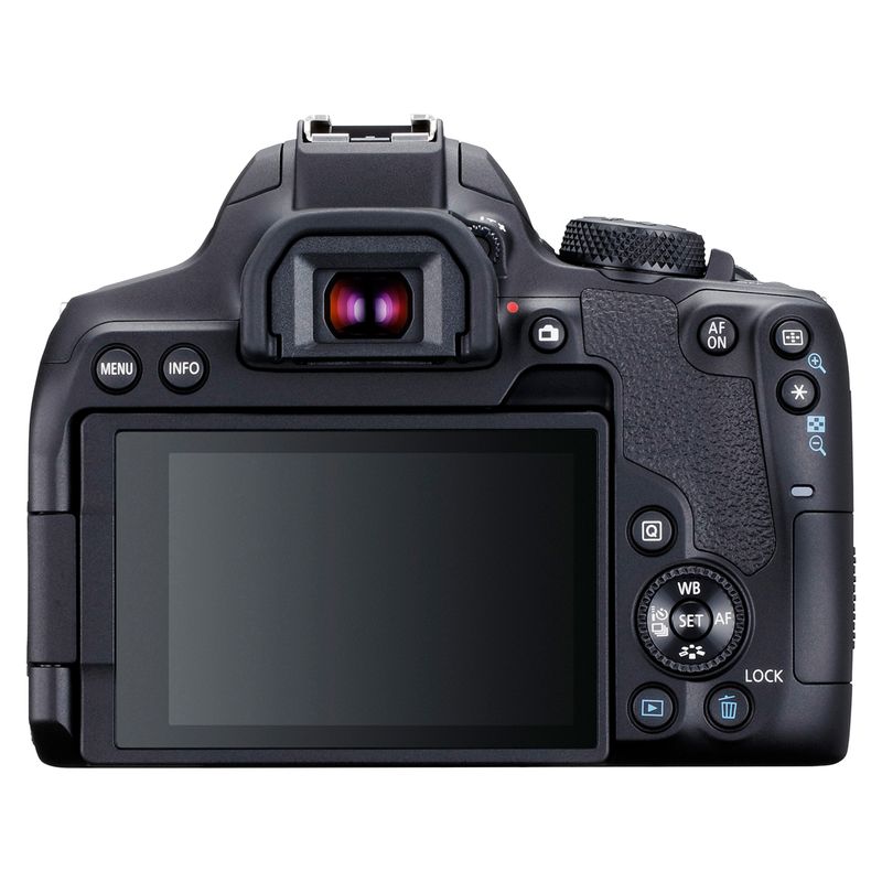 CANON - Cámara Profesional T8I BODY