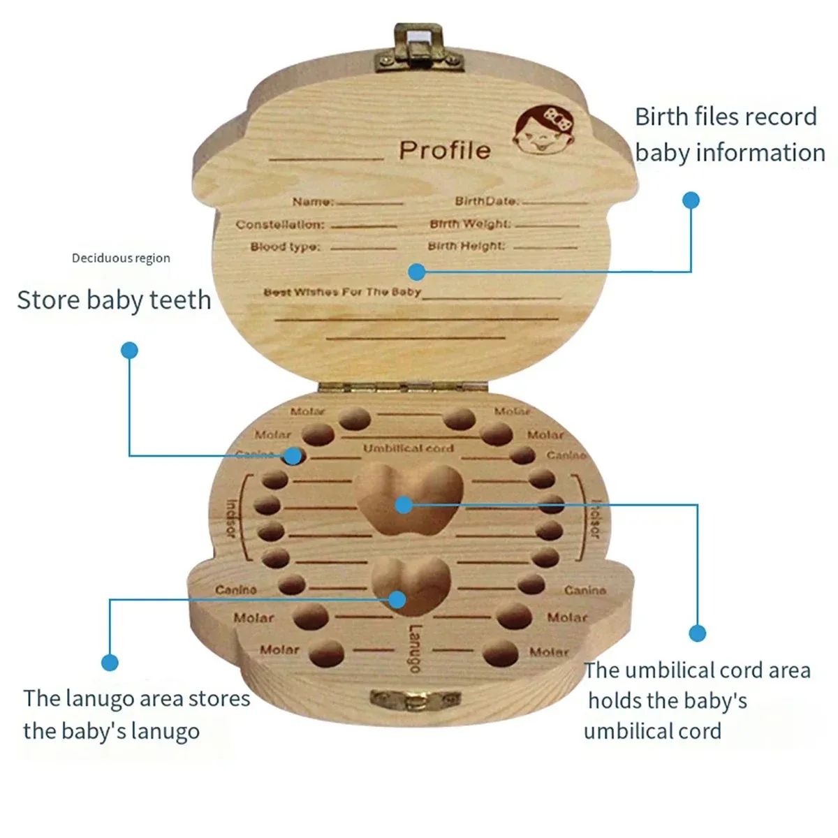GENERICO - caja de almacenamiento de dientes de bebé de madera