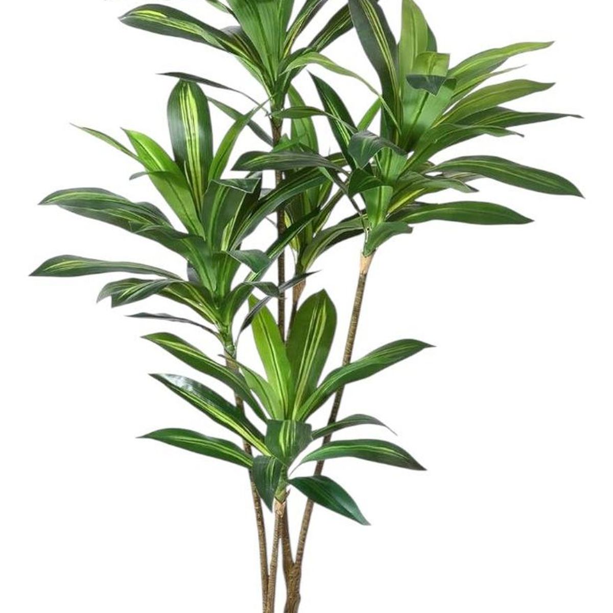 ARBUSTO REAL - Planta Artificial Dracaena 165 Cm. Premium / Arbusto Real Verde