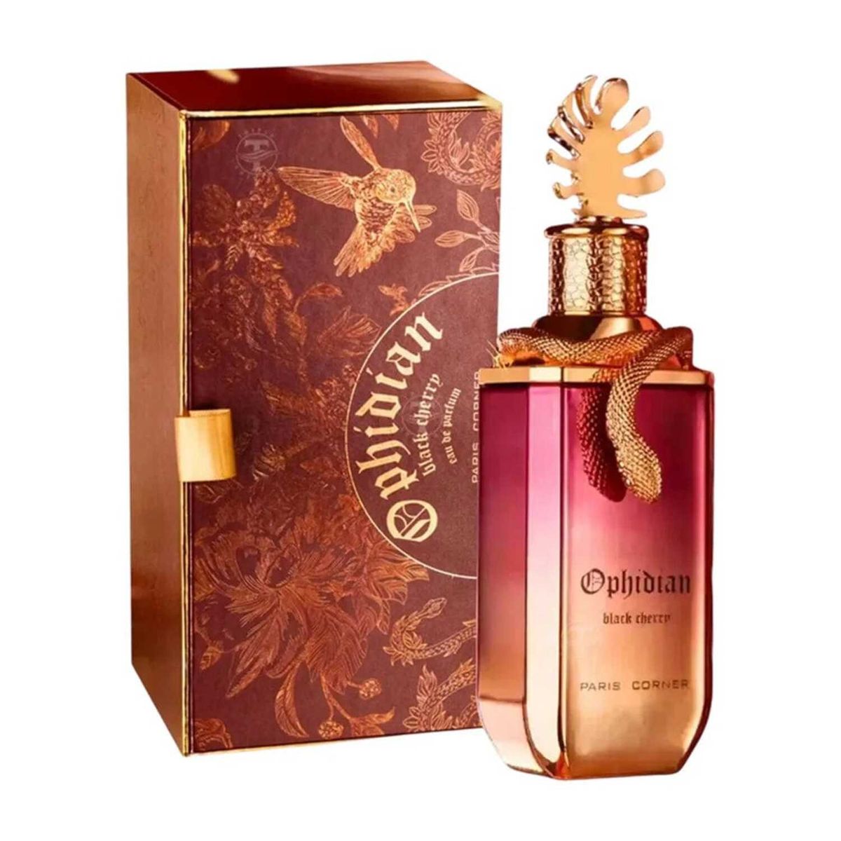 PARIS CORNER - PARIS CORNER OPHIDIAN BLACK CHERRY EDP 100ML