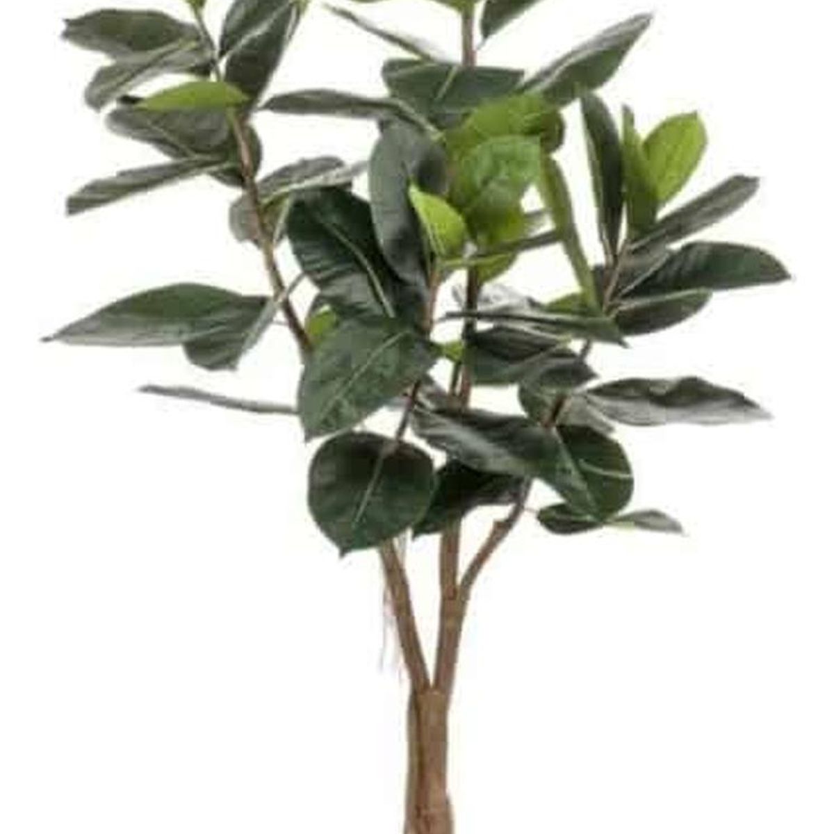 ARBUSTO REAL - Planta Artificial Ficus Lyrata 180 Cm. De 88 Hjs Y 3 Troncos