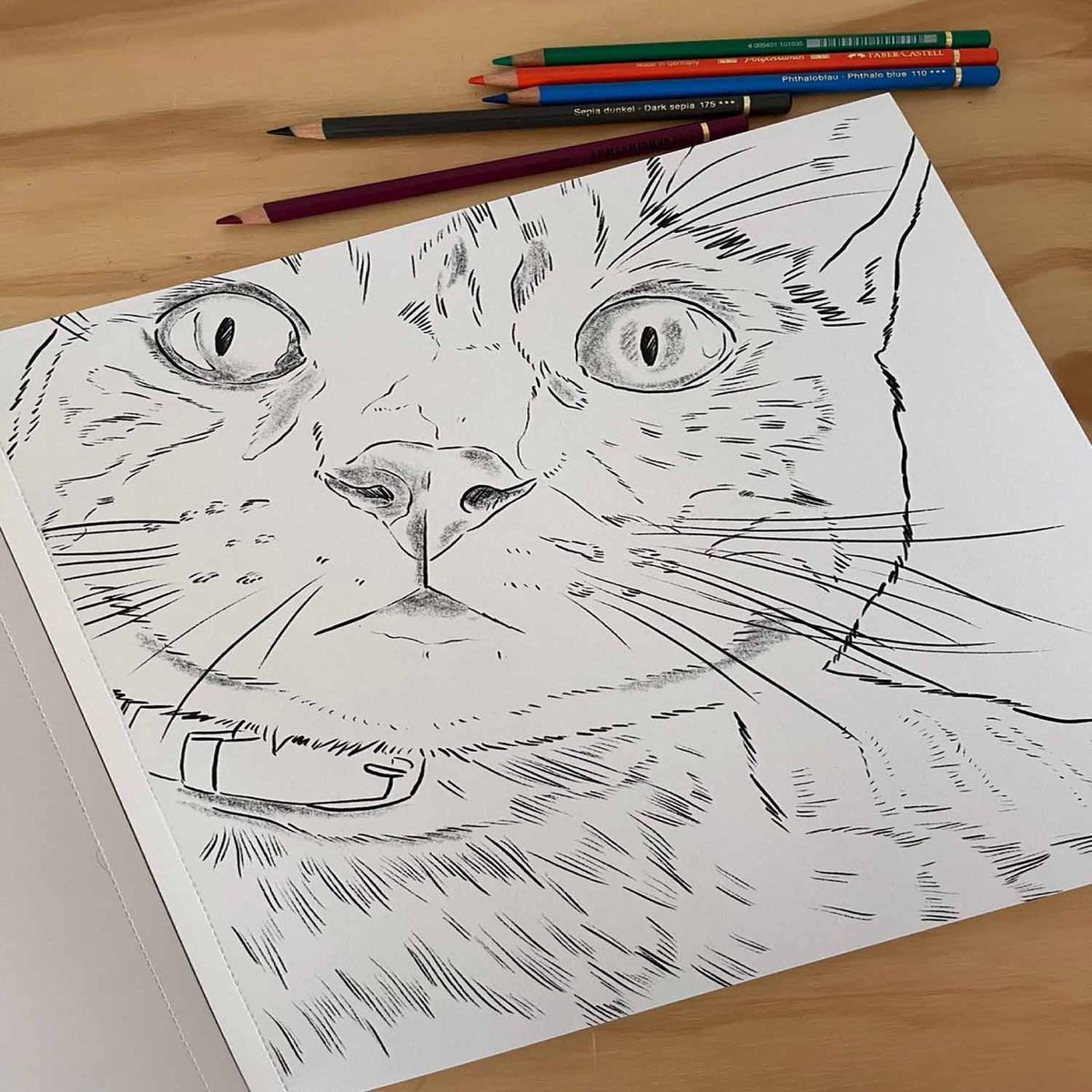 GENERICO - Libro para Colorear Gatos por Cata Fuenzalida