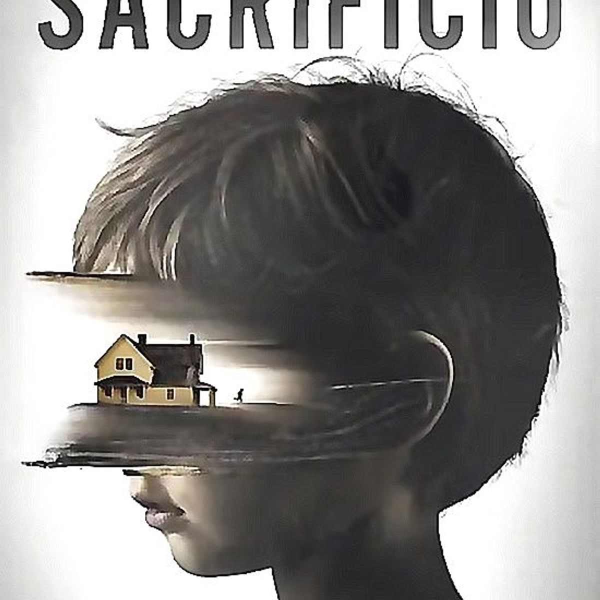PLANETA - Libro El sacrificio (Serie Memento 1) - Henrik Fexeus