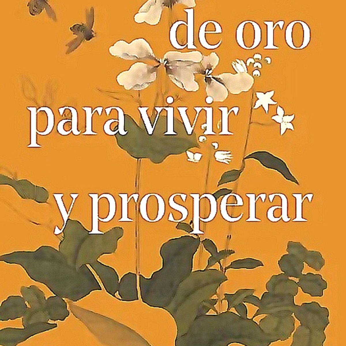 ARIEL - Libro Las reglas de oro para vivir y prosperar - Fan Li