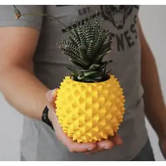 GENERICO - Maceta diseño piña