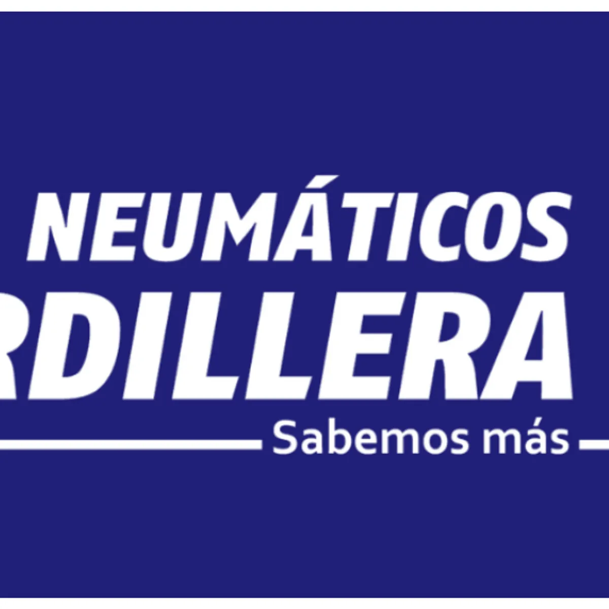 GENERICO - Neumático 255/40 R18 Sunwide Rs-One . Y-99 Xl