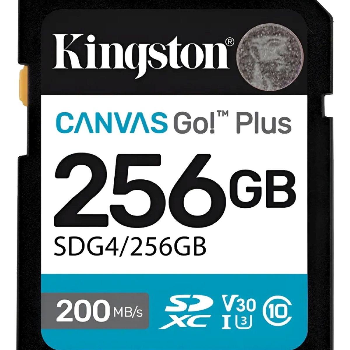 KINGSTON - Memoria Sd Kingston Canvas Go Plus 256gb