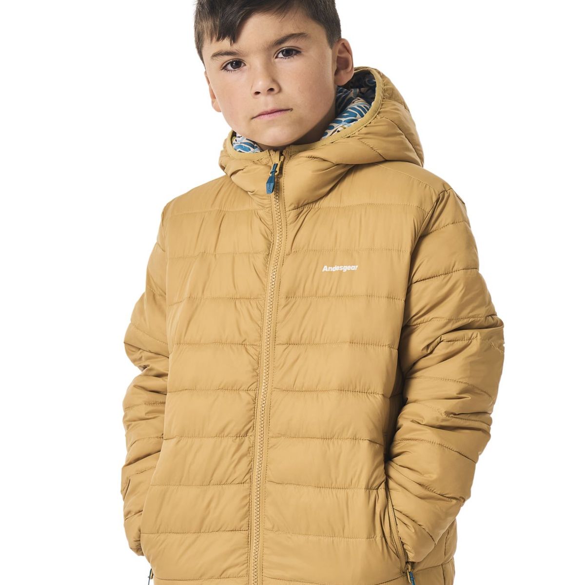 ANDESGEAR - Chaquetas Niños Andesgear Chonchi Marrón
