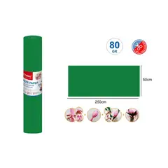 GENERICO - Papel Crepé Verde Pino 250x50cm 80G