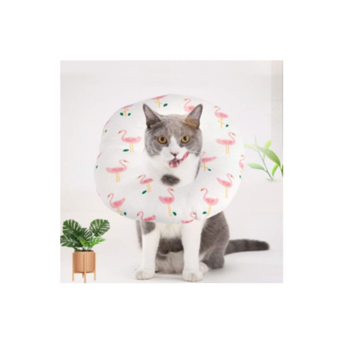 GENERICO - Cuello Isabelino Inflable Para Perros  Protector Post Operación