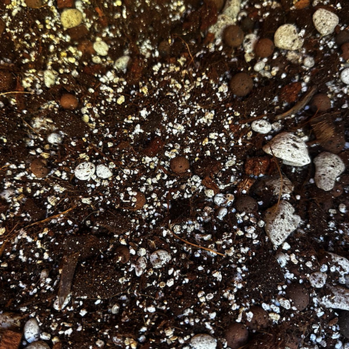 GENERICO - Sustrato Premium Mix para Alocasias 5 Litros