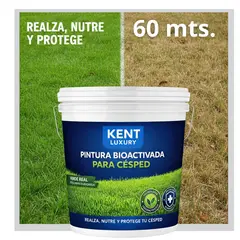 KENT - PINTURA CESPED - REACTIVADORA DE PASTOS - BOTELLA PISTOLA TINETA 4G - NUTRE Y PROTEGE