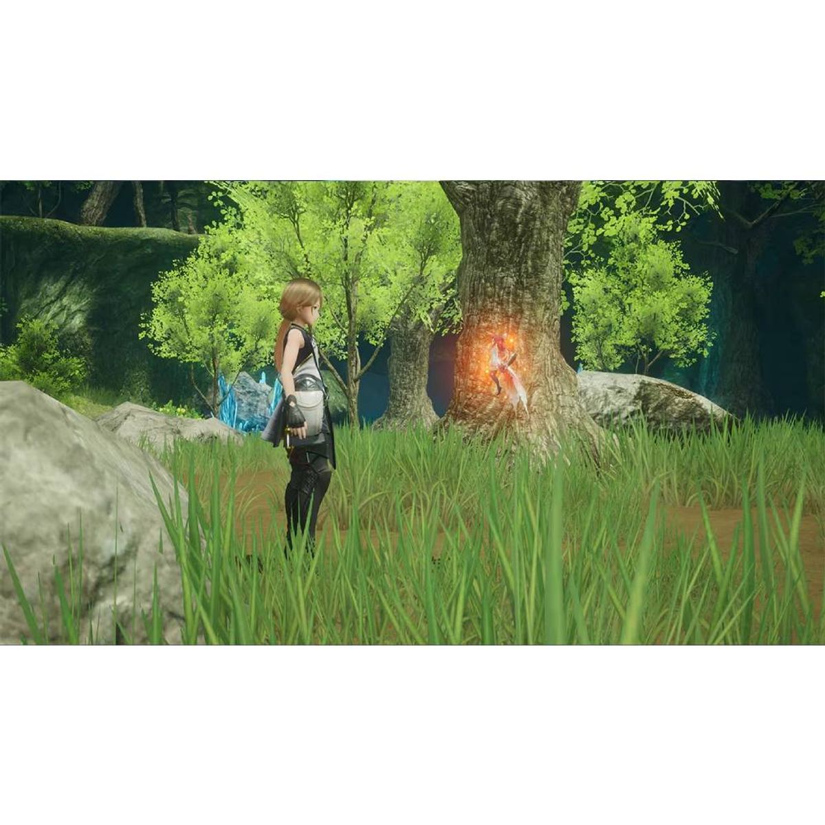 NINTENDO - Harvestella - Switch Físico - Sniper