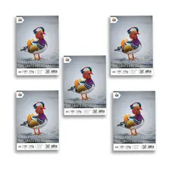MALIK - Pack 5 Papel Fotográfico A4 135gr Glossy para Impresora - 100 Hojas c/u Inkjet
