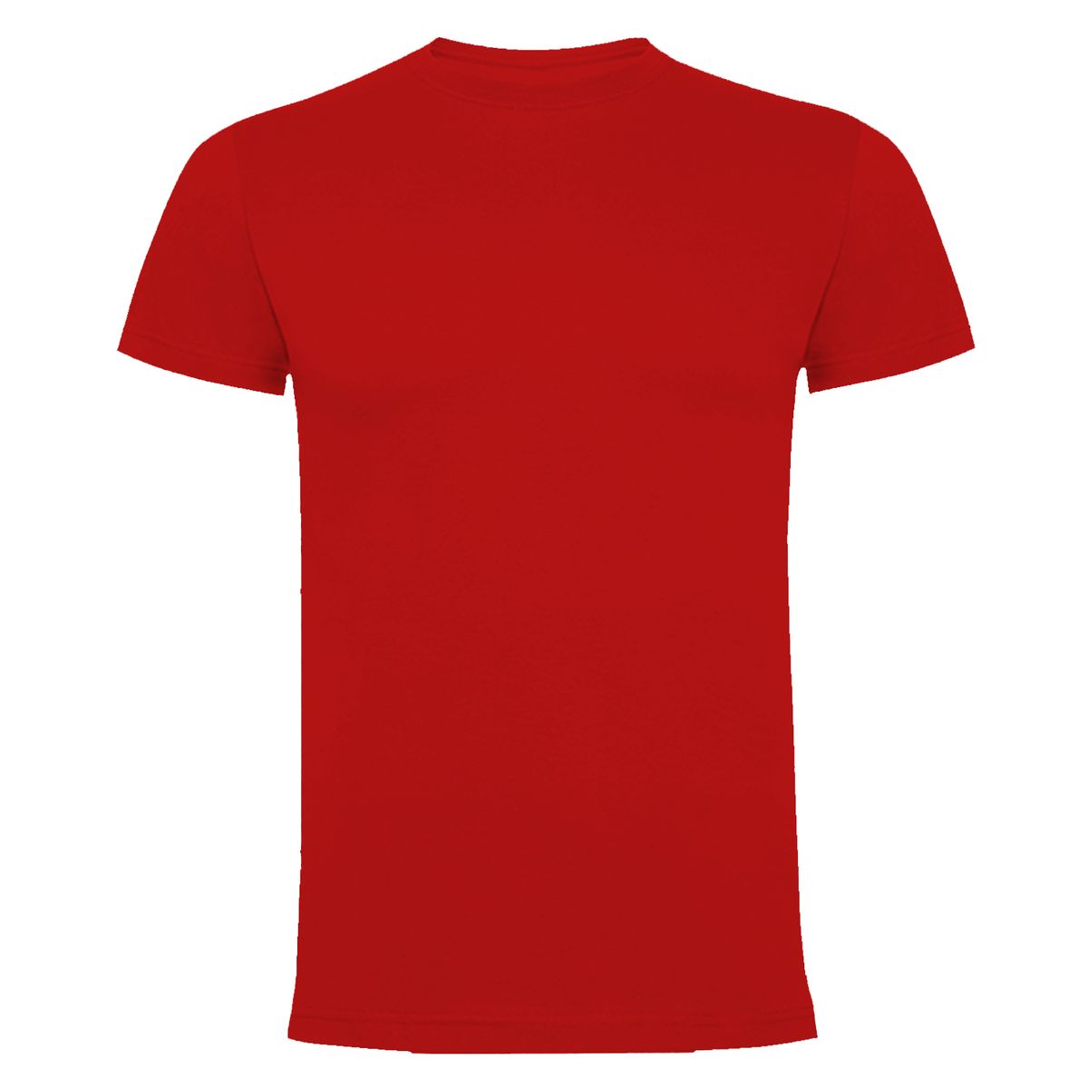 ANDESLAND OUTDOOR APPAREL - Polera Algodón Manga Corta Velox Pro Hombre