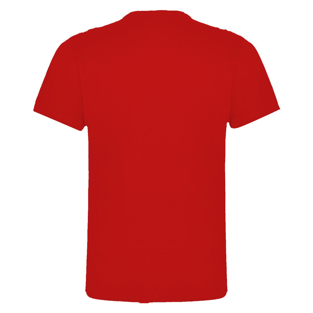 ANDESLAND OUTDOOR APPAREL - Polera Algodón Manga Corta Velox Pro Hombre