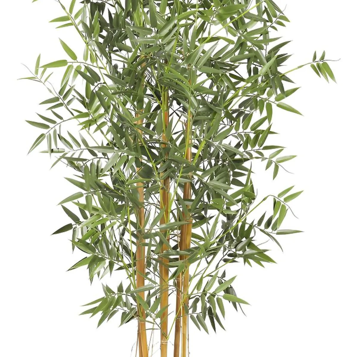 ARBUSTO REAL - Planta Artificial Bamboo Premium 120 Cm. / 730 Hojas Verde Para Decoracion De Interiores Y Terrazas