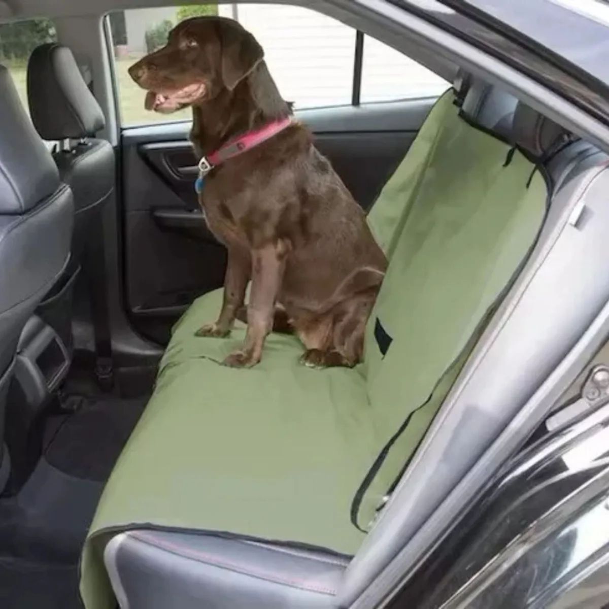 MOVI - Funda Protector Asiento Trasero de  Auto Para Mascotas Impermeable Antideslizante Acolchada 2 Plazas