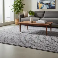 GENERICO - Alfombra Grande 2x2.4m Moderna Peluda Suave Sala De Estar