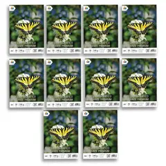 MALIK - Super Pack 10 Papel A4 230g Inkjet - 500 Hojas de Calidad