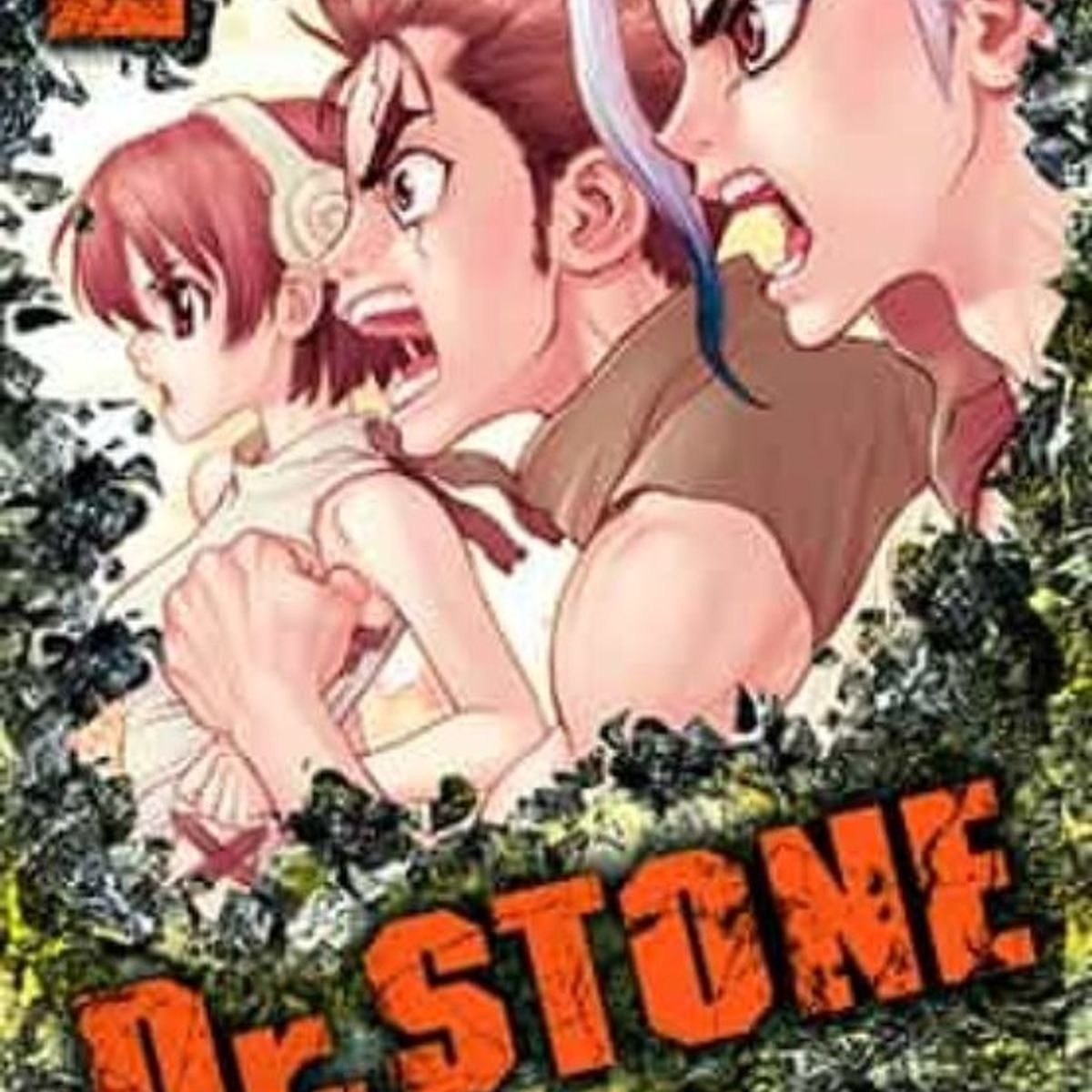 ANTARTICA LIBROS - DR. STONE 02