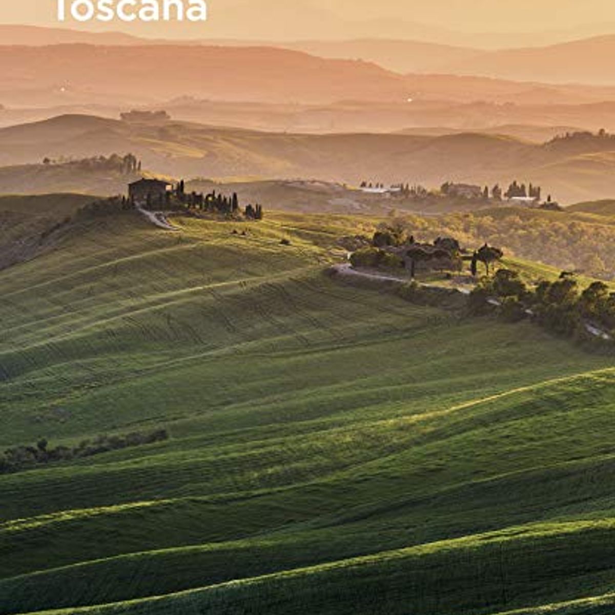 ANTARTICA LIBROS - TOSCANA PAISES Y REG.EDICION FLEXI.