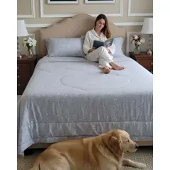 GENERICO - Set Cubrecama nórdico Delgado Mas 2 Almohadas 2 Plazas