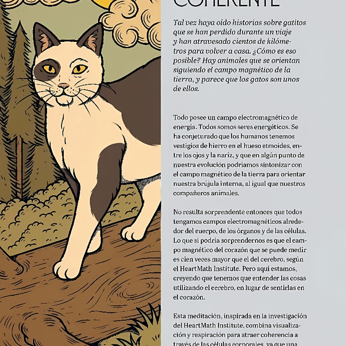 EDITORIAL CONTRAPUNTO - Gatos y meditación de Editorial Librero