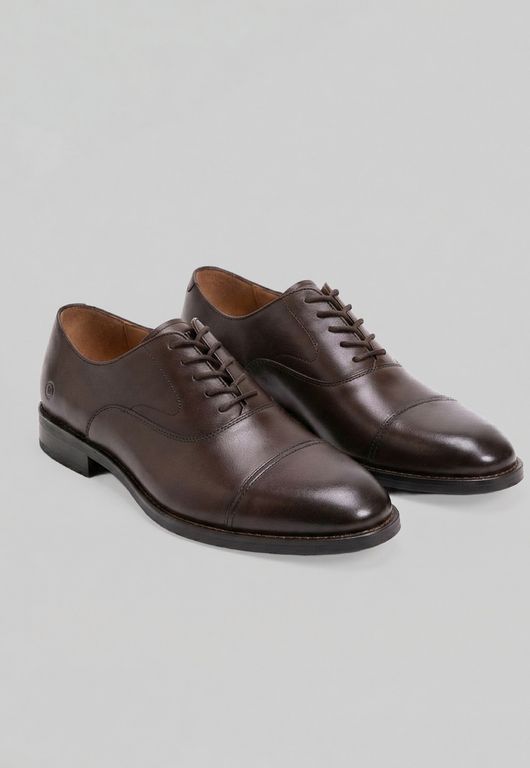Zapatos San Francisco Brown