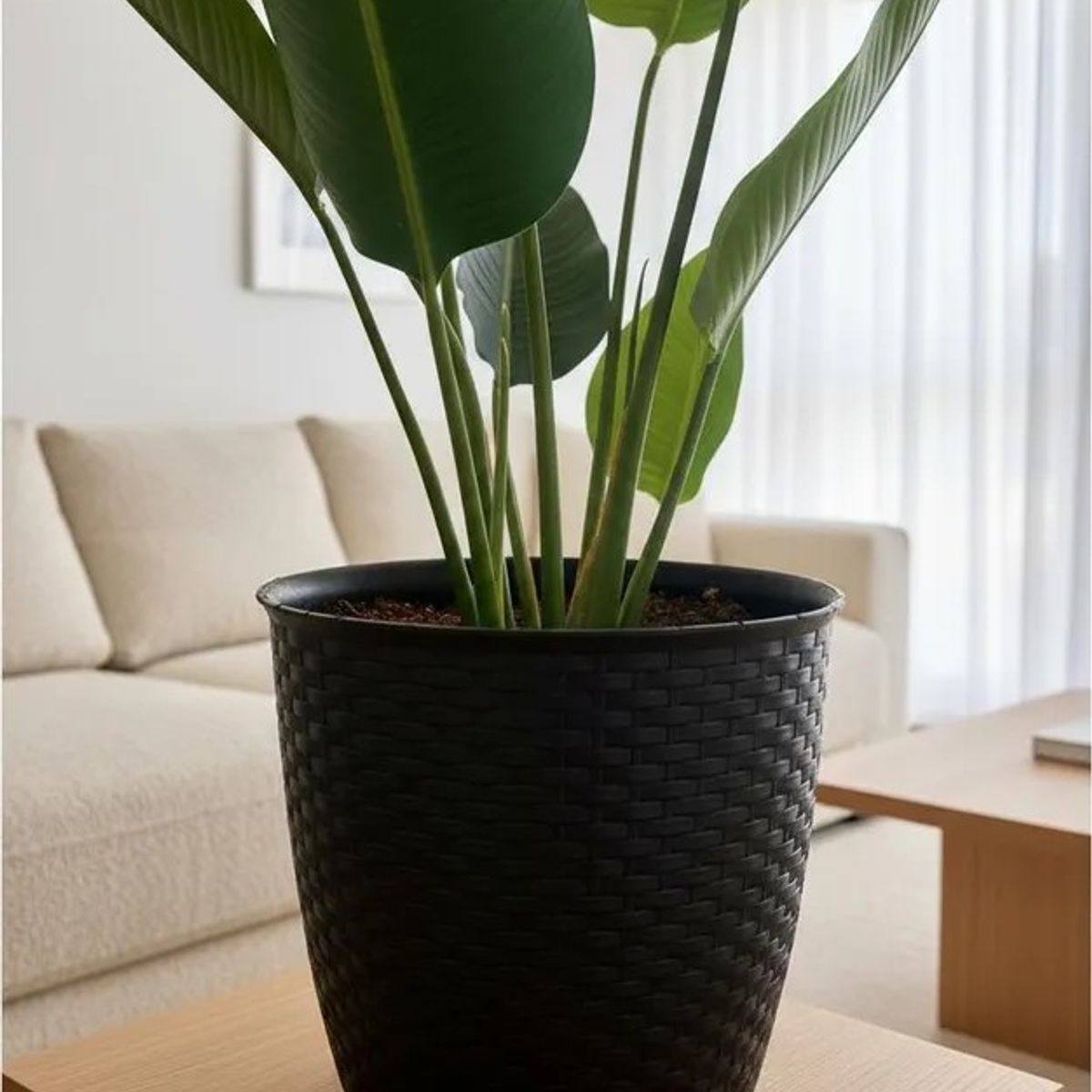 ARBUSTO REAL - Planta Decorativa Ave Del Paraiso 120 Cm Verde
