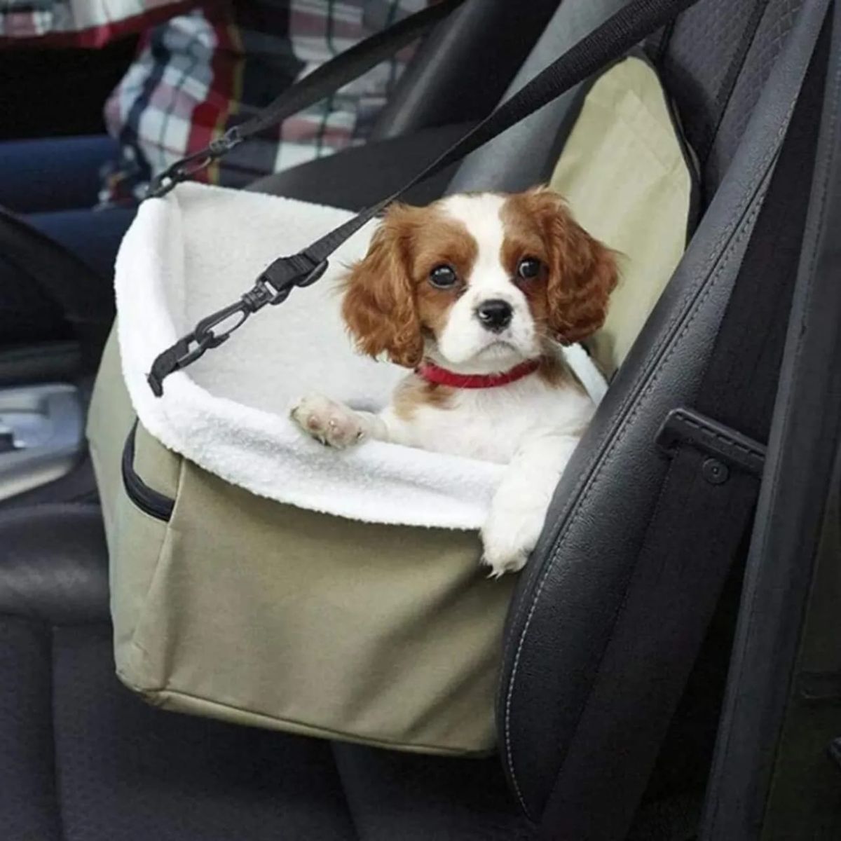 MOVI - ASIENTO DE MASCOTAS PARA AUTO