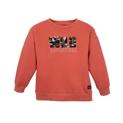 PILLIN - Polerón Rojo Niño PVD509-26LAD