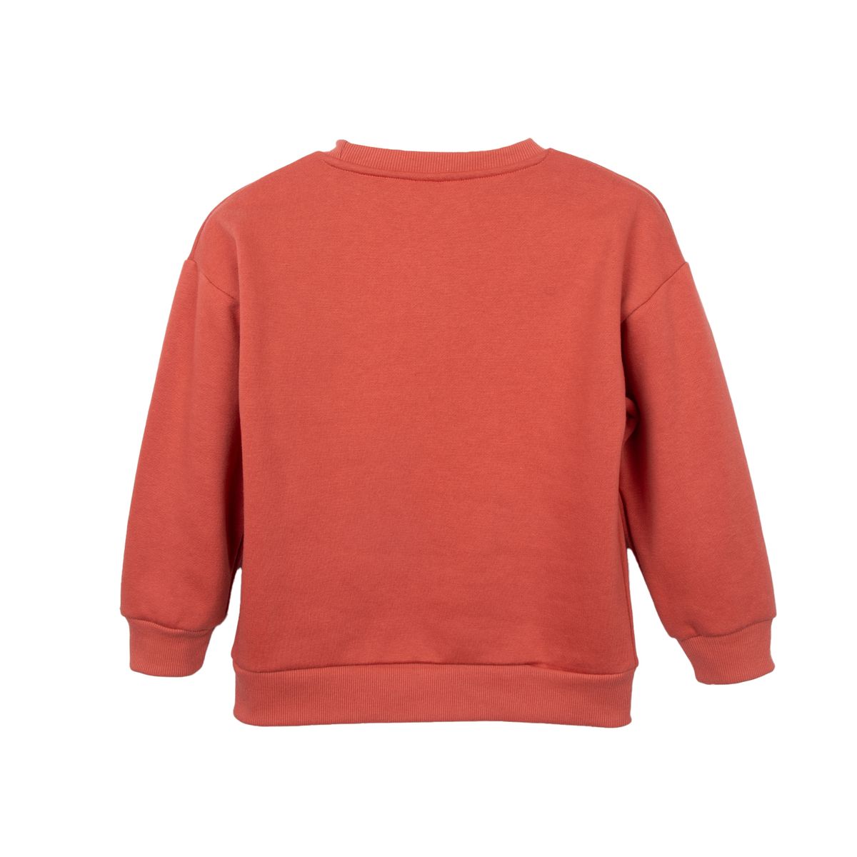 PILLIN - Polerón  Pillin Rojo Niño PVD509-26LAD