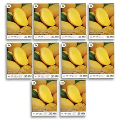 MALIK - Combo 10 Papel Mate A4 130g - 1000 Hojas Inkjet Profesional