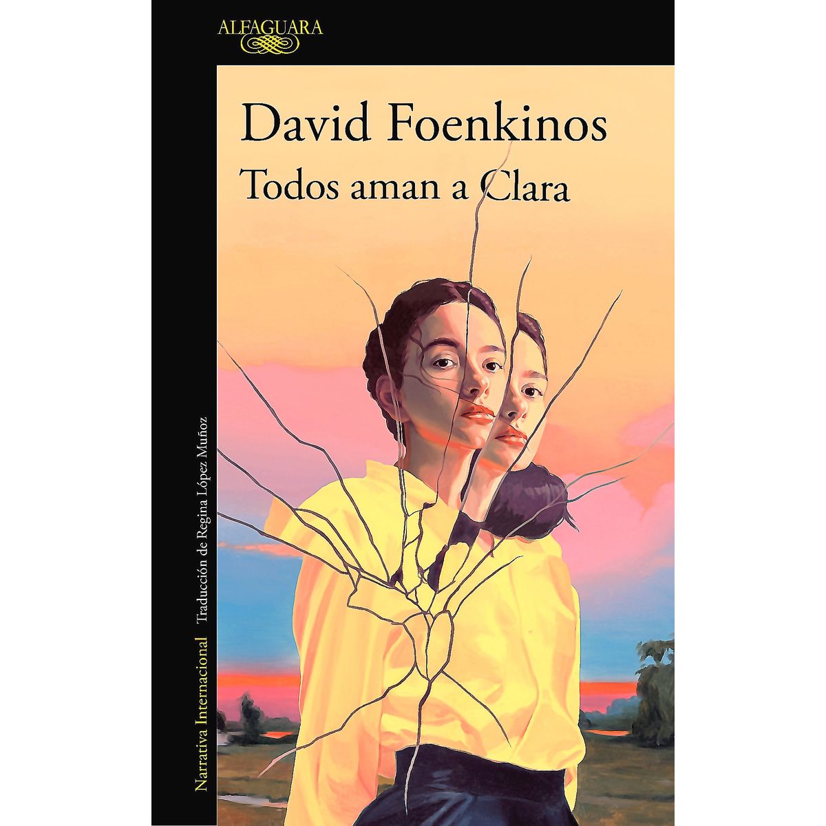 ALFAGUARA - Libro Todos Aman A Clara - David Foenkinos