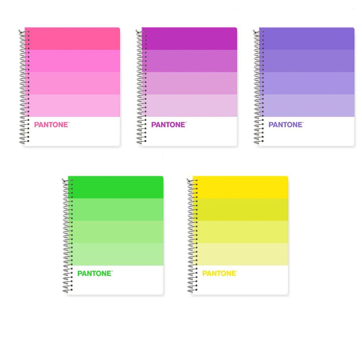 PANTONE - Pack 5 Cuadernos Medio Oficio Pantonera 150 Hojas 5mm