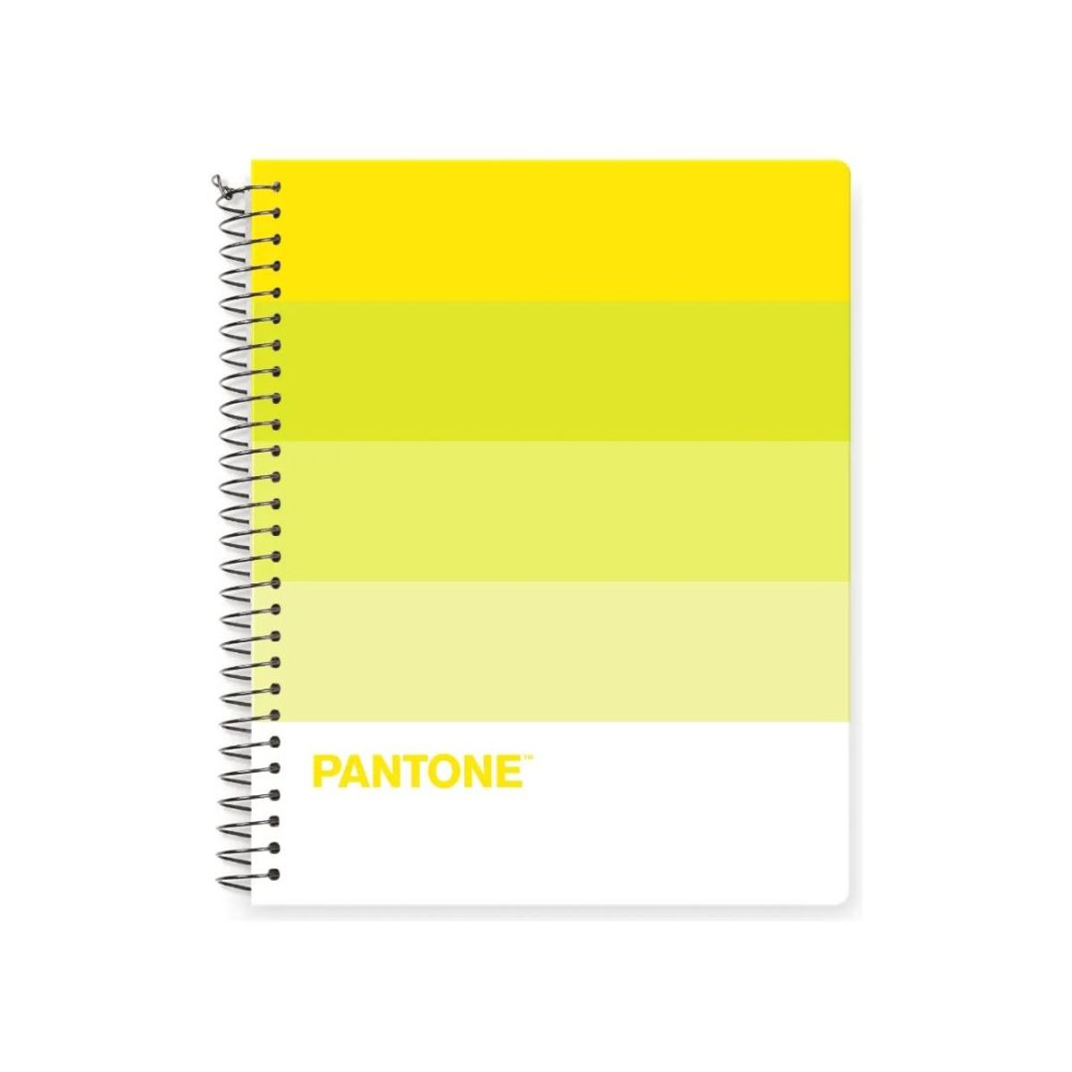 PANTONE - Pack 5 Cuadernos Medio Oficio Pantonera 150 Hojas 5mm