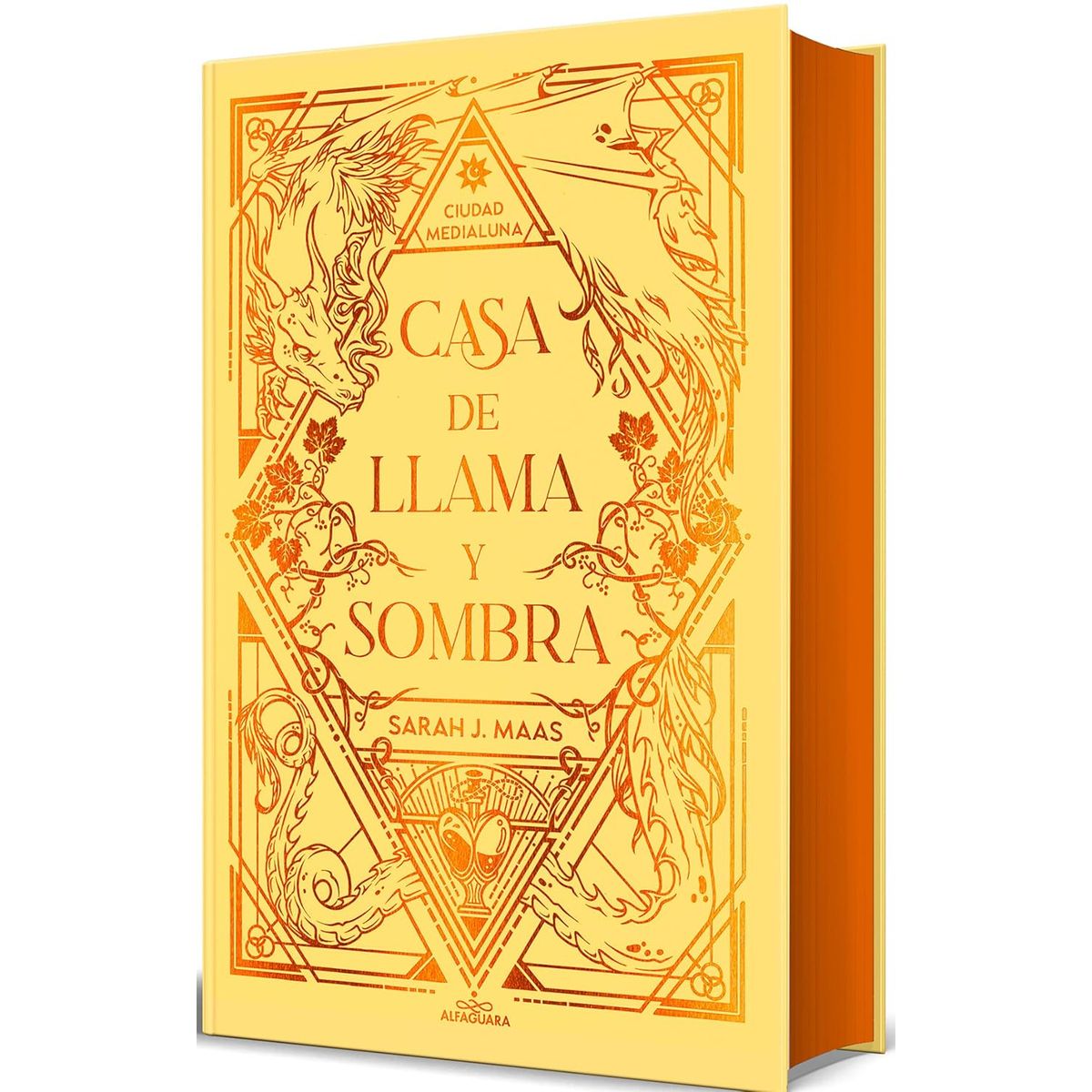 ALFAGUARA J - Casa De Llama Y Sombra