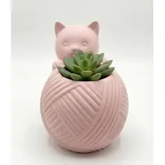 GENERICO - Macetero redondo - Figura gato