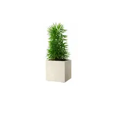 DEROMA - Maceta Cubo 25x25cm Crema