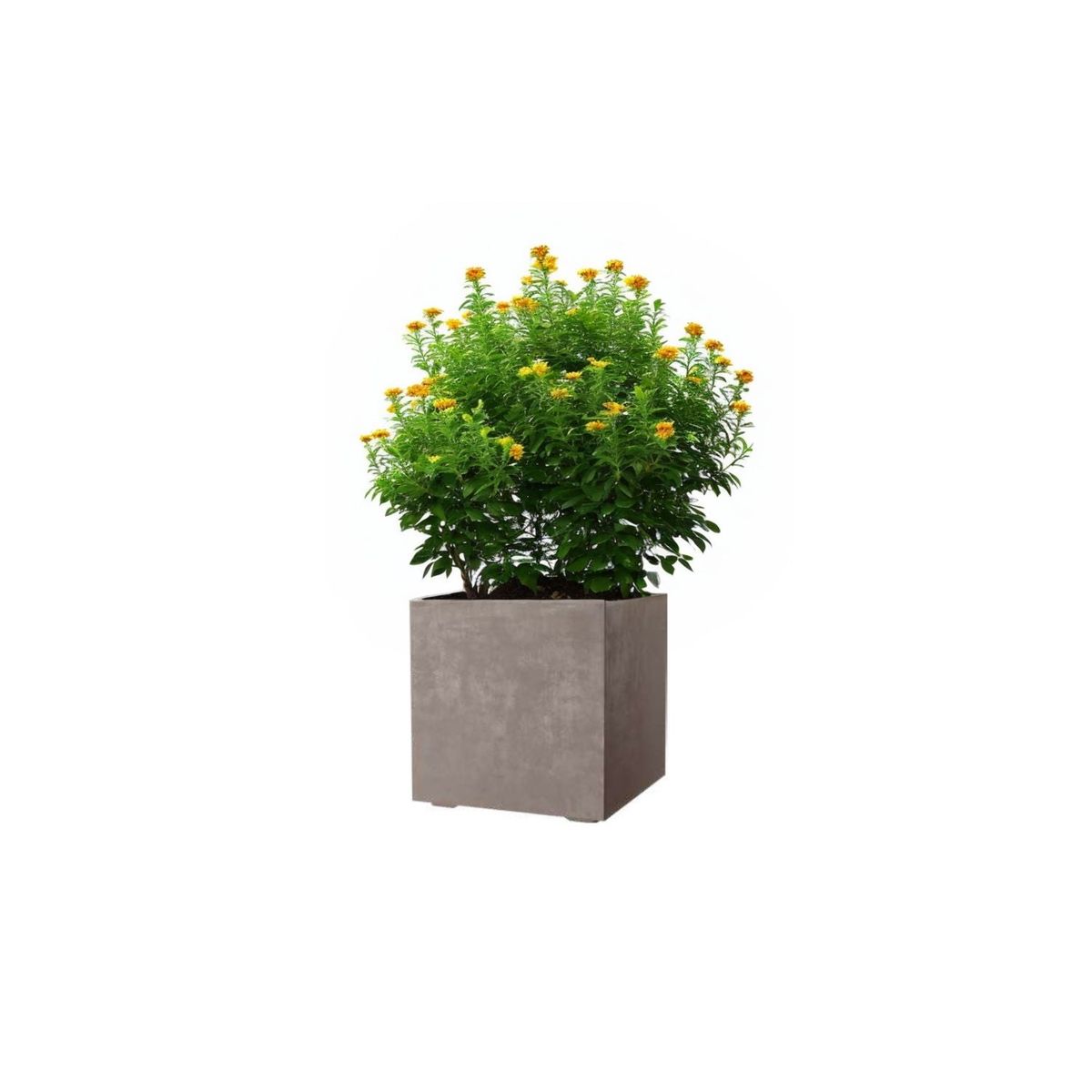 DEROMA - Maceta Cubo Deroma 25x25cm Arena.