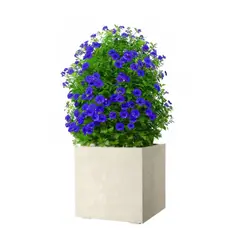 DEROMA - Maceta Cubo 50cm Crema