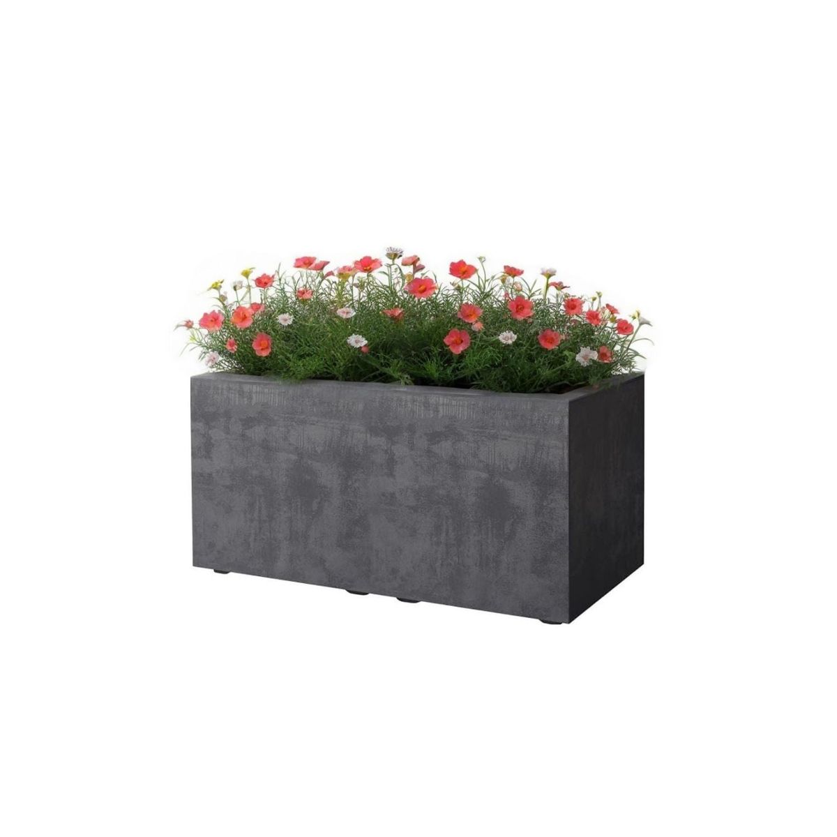 DEROMA - Jardinera Deroma 60x25cm Grafito