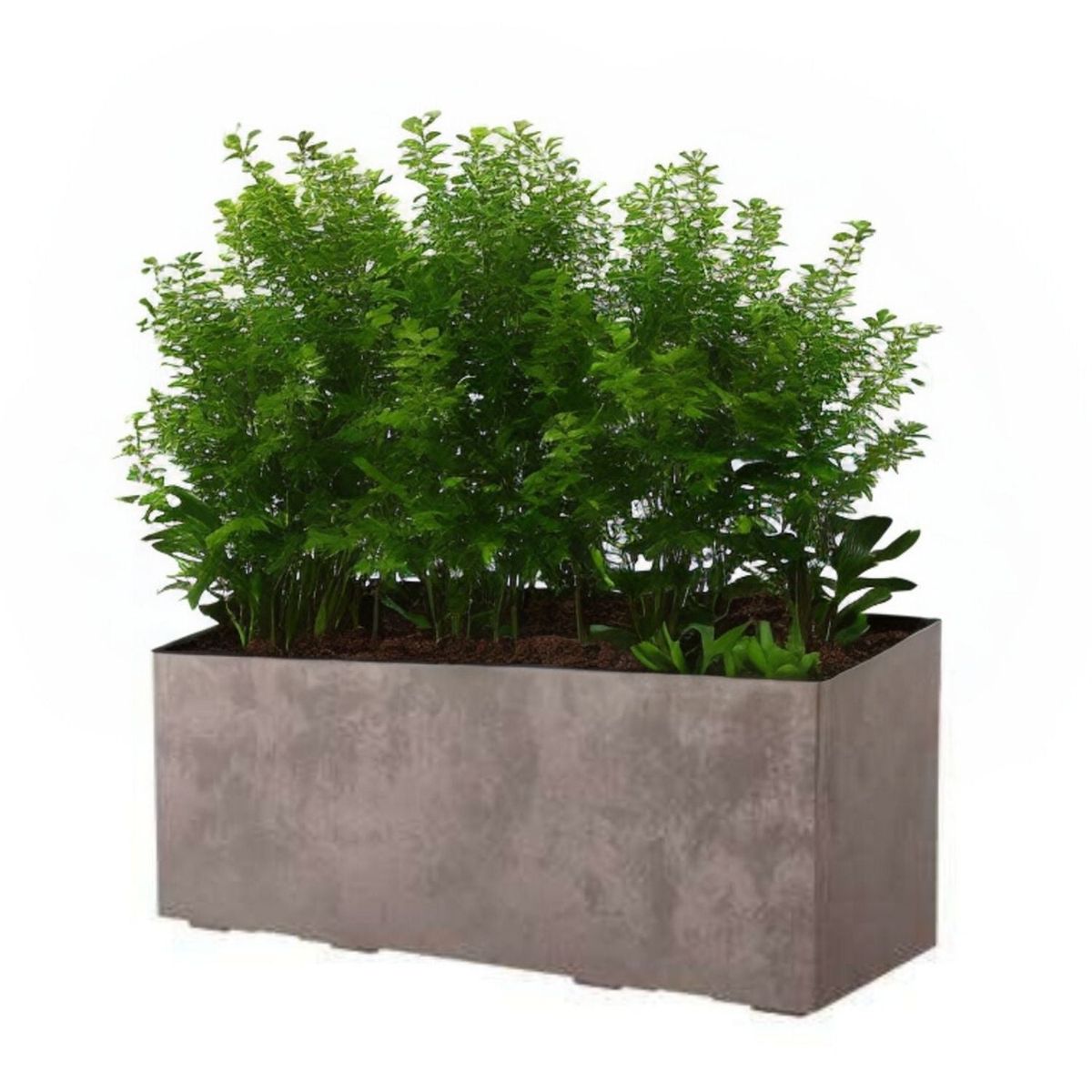 DEROMA - Jardinera Deroma 100x50cm Arena