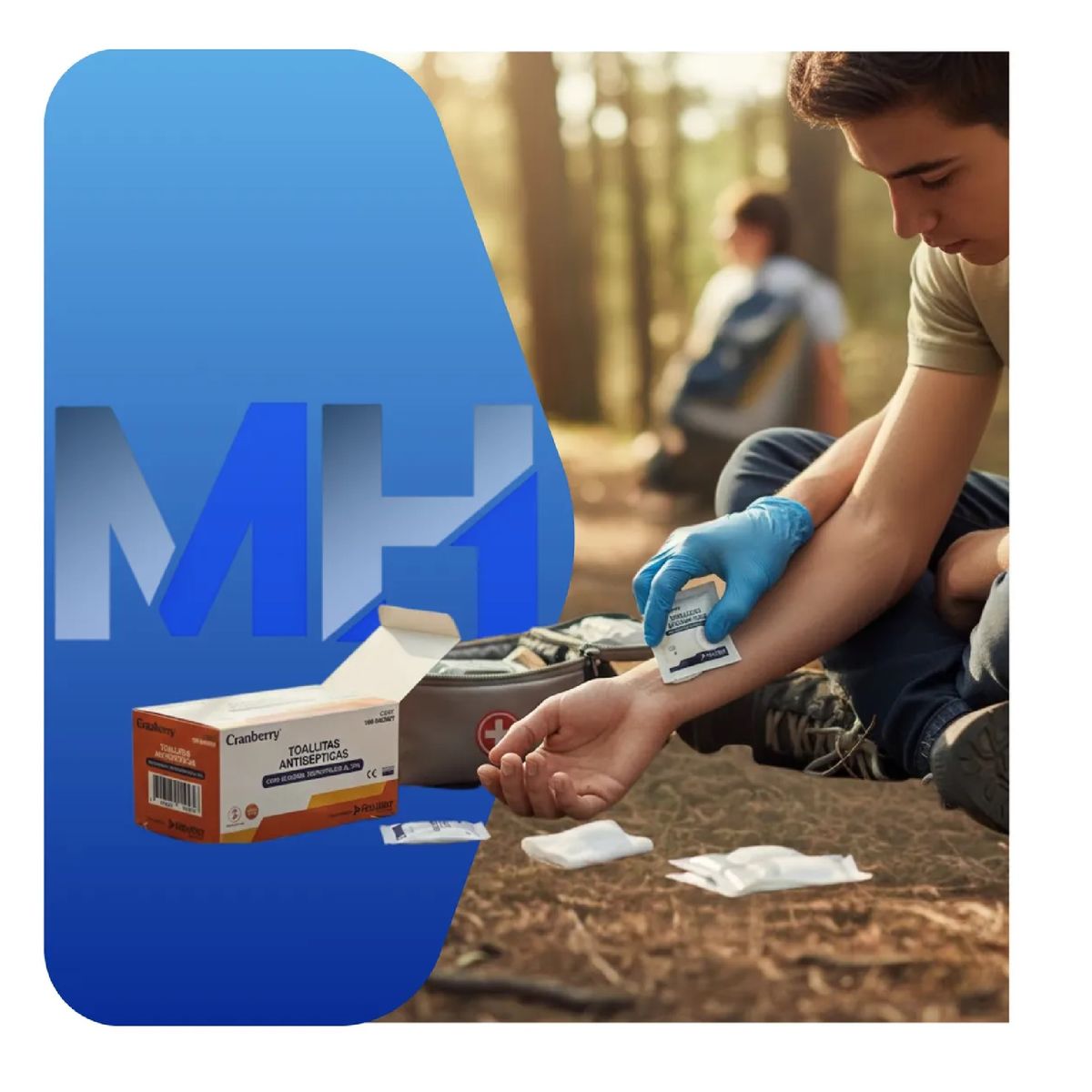 CRANBERRY - Pack 6 Cajas Toallitas Alcohol Isopropílico 70% 600 Unidades