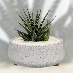 GENERICO - Macetero Martina Jaspeado Gris Paila 16cm diametro